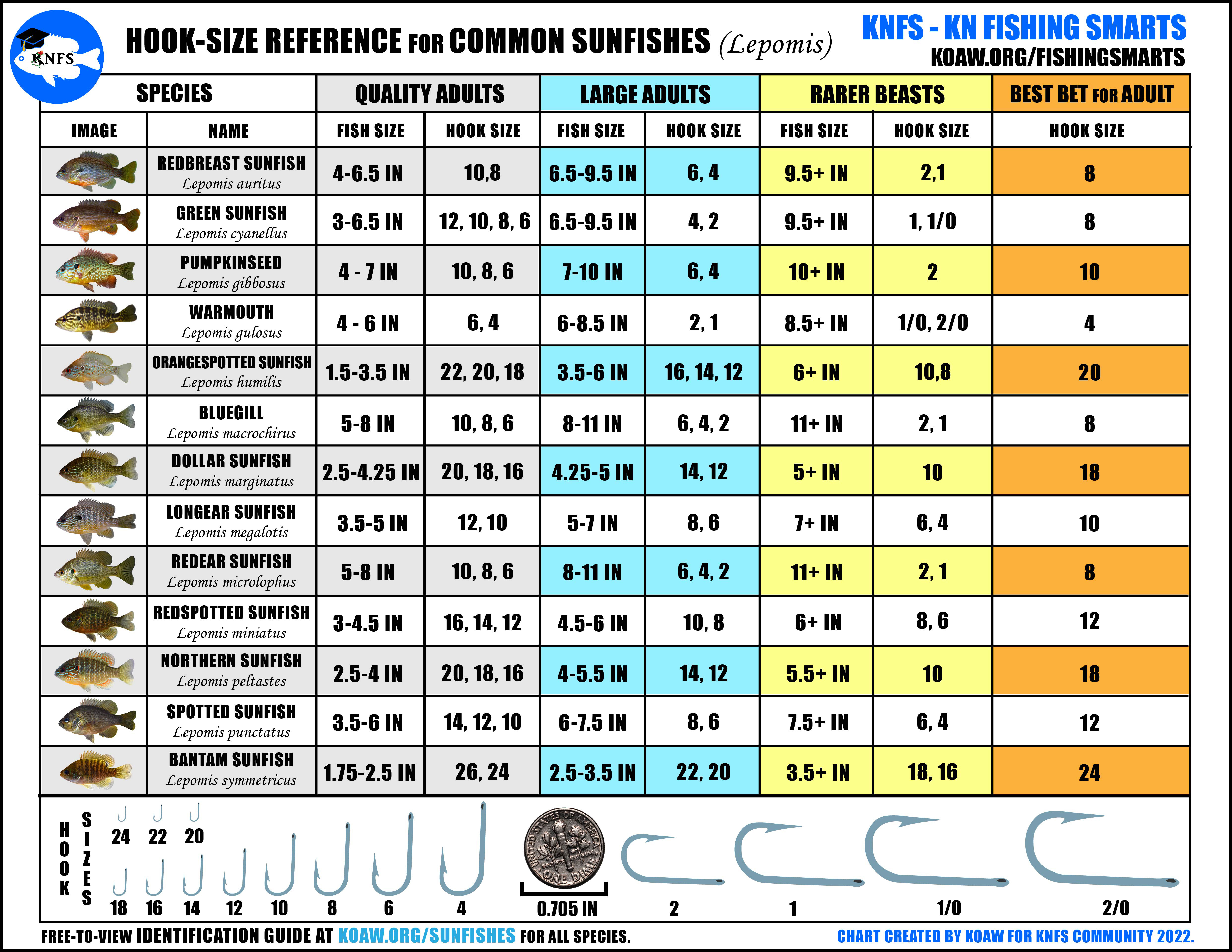 KNFS Free Hook-Size Chart for Common Sunfishes - Bluegill, longear sunfish,  green sunfish, redear sunfish, and more! — Koaw Nature
